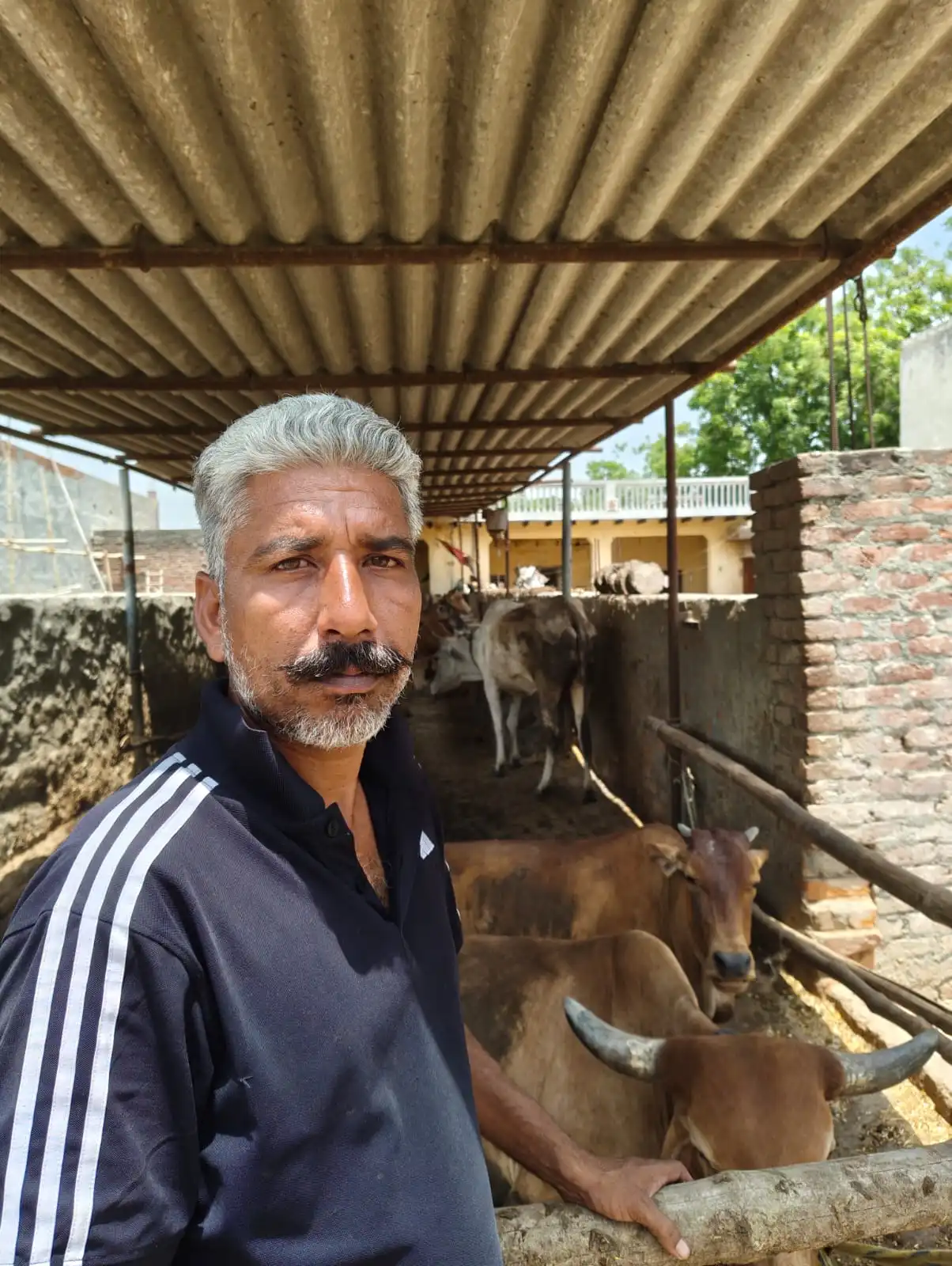 Farmer with vegetables